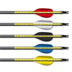 Zebra Yellow on White - Image 6