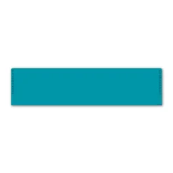 Regular - Standard Electric Teal