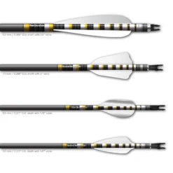 Wave Edge - Targetface WA Field Rings - Image 3