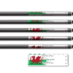 Alternative view of Shorty - National Flag Wales