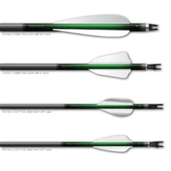 Regular - Gradient Black on Green - Image 3