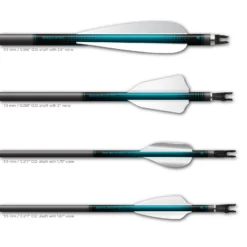 Regular - Gradient Black on Teal - Image 3