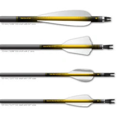 Regular - Gradient Black on Yellow - Image 3