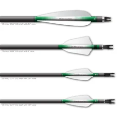 Shorty - Gradient Green on White - Image 3