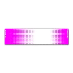 Regular - Gradient Magenta on White